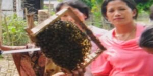 Arunachal: Beekeeping, Sericulture Training Held in Sille