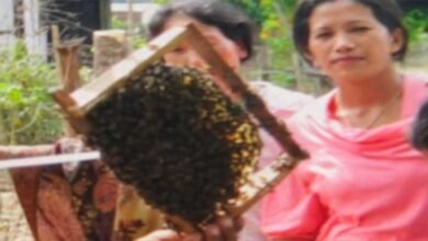 Arunachal: Beekeeping, Sericulture Training Held in Sille