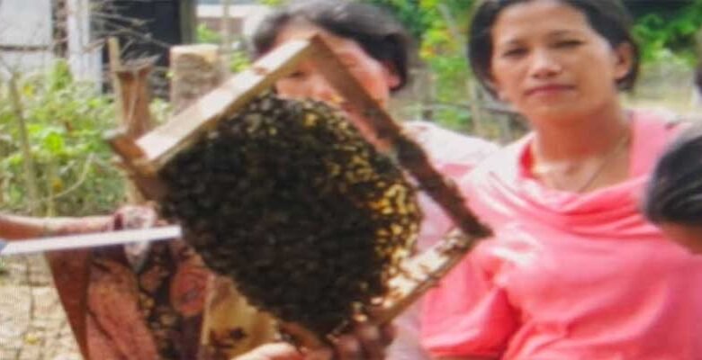 Arunachal: Beekeeping, Sericulture Training Held in Sille