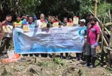 Mithun Breeding Awareness Drive Held in West Siang