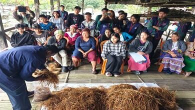 Arunachal: NSS Special Camp Concludes at Roying Village