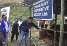 Arunachal: Sahiwal Cattle Distributed to Longding Farmers