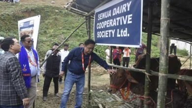 Arunachal: Sahiwal Cattle Distributed to Longding Farmers