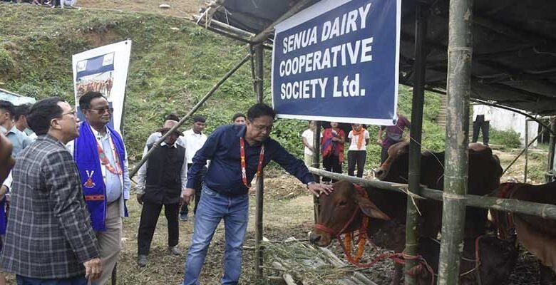 Arunachal: Sahiwal Cattle Distributed to Longding Farmers