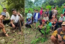 Arunachal: Sibuk Village Drives Flower Tourism with 300 Dikong Saplings