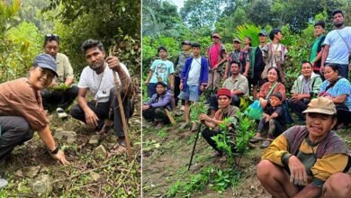 Arunachal: Sibuk Village Drives Flower Tourism with 300 Dikong Saplings