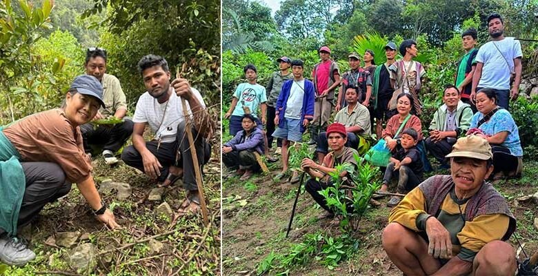 Arunachal: Sibuk Village Drives Flower Tourism with 300 Dikong Saplings