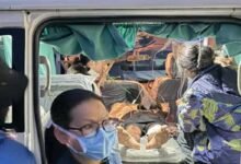 Arunachal: Three Injured as Tree Falls on Vehicle in Dibang