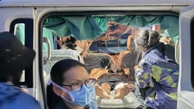 Arunachal: Three Injured as Tree Falls on Vehicle in Dibang