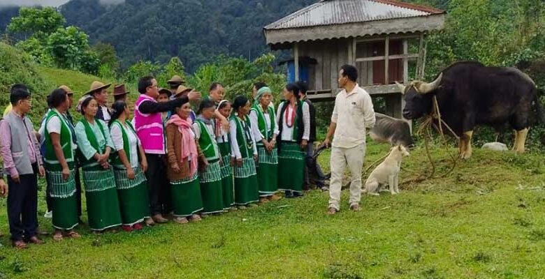 Arunachal: Bull Exchange Program Promotes Scientific Mithun Breeding in West Siang