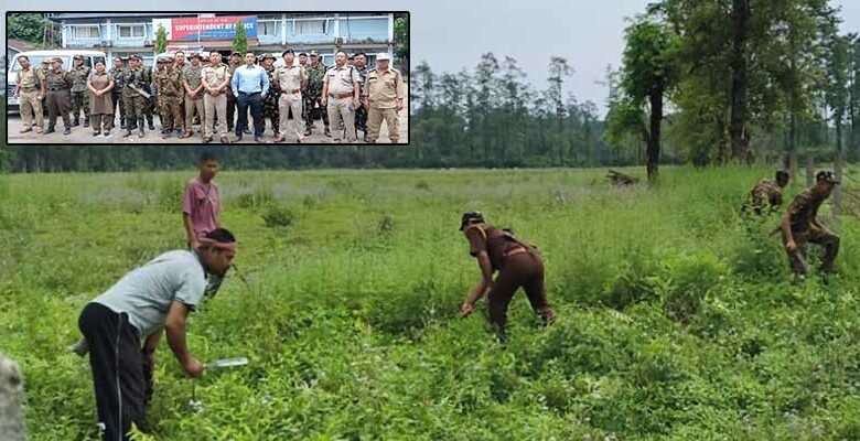 Arunachal: Joint Team Destroys Wild Cannabis Spread Across 12 Acres in Pasighat
