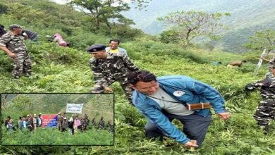 Arunachal: Joint Operation Destroys 1500 Kg of Wild Cannabis in Tawang Dist