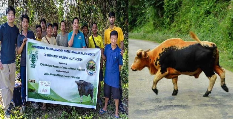 Arunachal: Mithun Farming Awareness Drive Begins in Arunachal