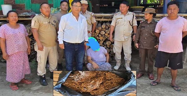 Arunachal: Woman Drug Peddler Held, Ganja Recovered in Oyan Village