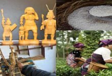 Arunachal Pradesh Achieves 20 GI Registrations, Boosting Tribal Heritage and Rural Livelihoods