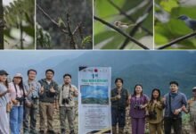 Arunachal: First-Ever Bird Count in Tali Records 74 Bird Species