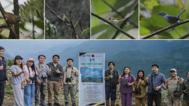 Arunachal: First-Ever Bird Count in Tali Records 74 Bird Species