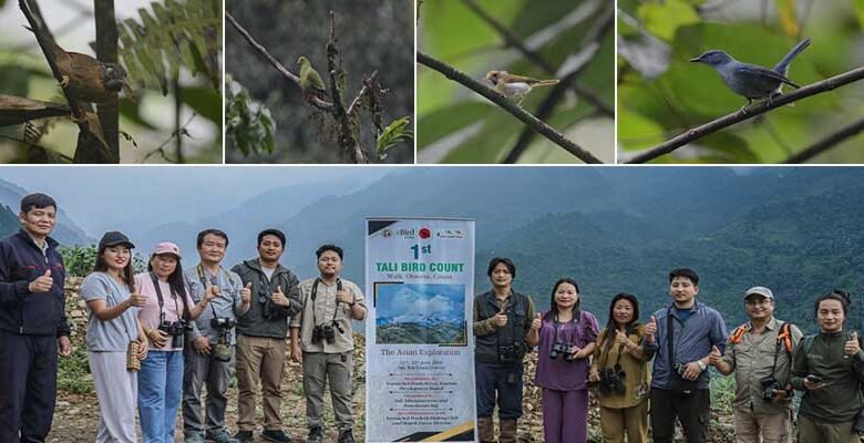 Arunachal: First-Ever Bird Count in Tali Records 74 Bird Species
