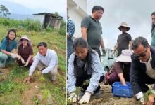 Keyi Panyor Administration Launches Mass Cosmos Flower Plantation Drive in Yachuli