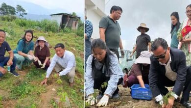 Keyi Panyor Administration Launches Mass Cosmos Flower Plantation Drive in Yachuli