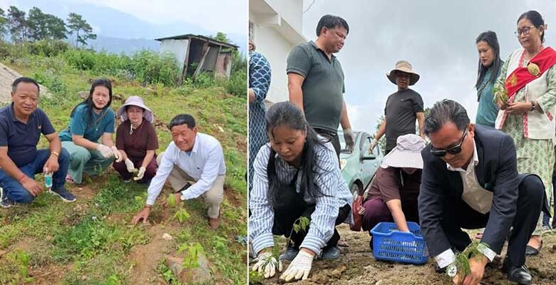 Keyi Panyor Administration Launches Mass Cosmos Flower Plantation Drive in Yachuli