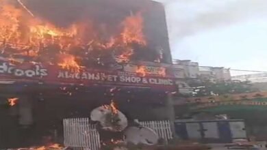 Massive Fire in Lucknow's Aliganj Kills 15, Probe Ordered into Safety Lapses