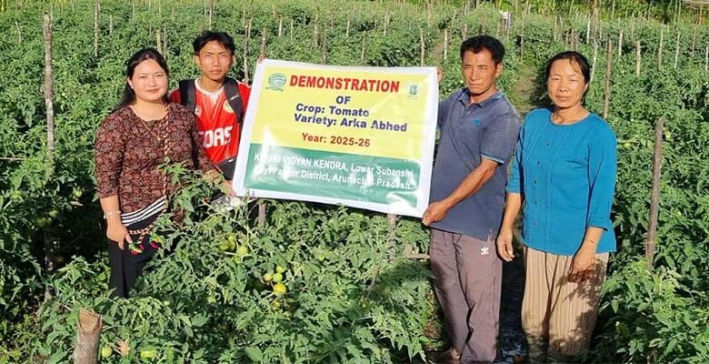 Climate-Resilient Tomato Variety Offers New Hope to Arunachal Farmers