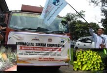 Mebo Sends First Consignment of Pineapples and Lemons to Sikkim