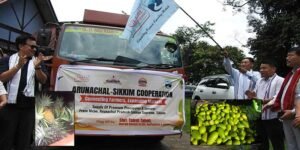 Mebo Sends First Consignment of Pineapples and Lemons to Sikkim