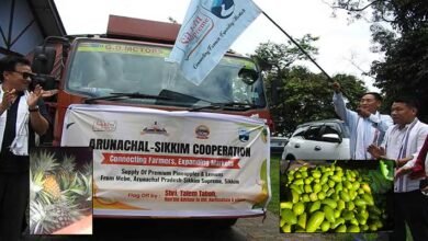Mebo Sends First Consignment of Pineapples and Lemons to Sikkim