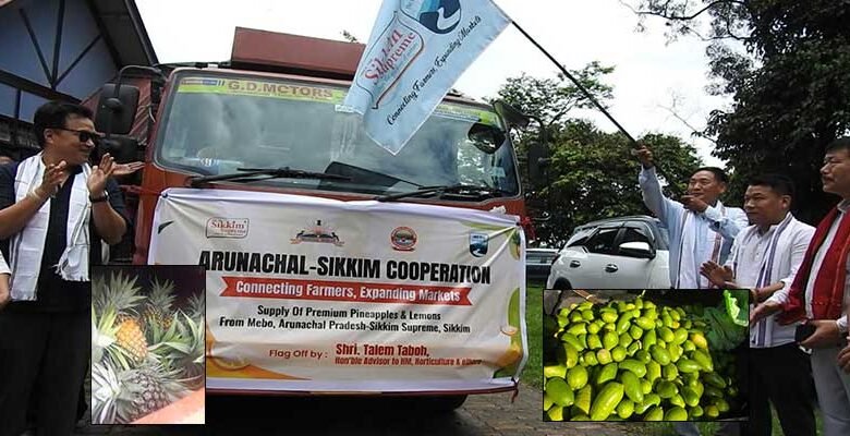 Mebo Sends First Consignment of Pineapples and Lemons to Sikkim