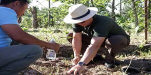 Oken Tayeng Leads Plantation Drive in Mebo