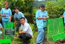 Plantation Drive Marks International Tiger Day at GUPS Lobi