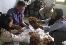 Tawang Trains Farmers in Mushroom Cultivation to Boost Sustainable Livelihoods
