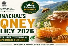 Explained: How Arunachal's new Honey Policy aims to transform beekeeping