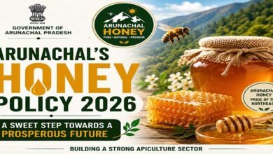 Explained: How Arunachal's new Honey Policy aims to transform beekeeping