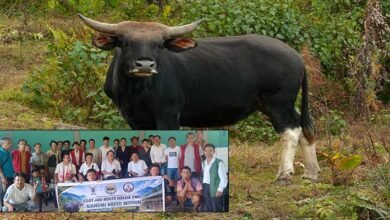 Siang Mithun Farmers Discuss Disease Prevention and Wildlife Challenges