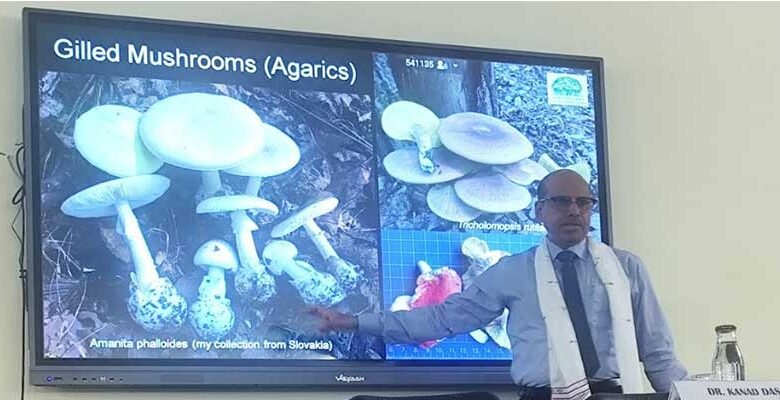 Around 30 Himalayan University Students Join BSI Training on Plant Taxonomy﻿