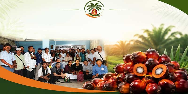 Financial Irregularity Allegations Surface at Oil Palm Farmers’ Meeting in Roing