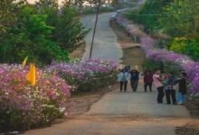 ‘Gems of India Challenge’: Ziro Youth Encouraged to Compete for National Recognition﻿