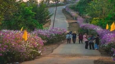 ‘Gems of India Challenge’: Ziro Youth Encouraged to Compete for National Recognition﻿