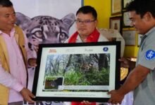 International Clouded Leopard Day Celebrated in Shergaon