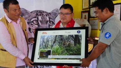 International Clouded Leopard Day Celebrated in Shergaon