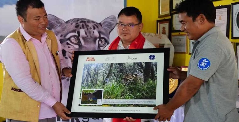 International Clouded Leopard Day Celebrated in Shergaon