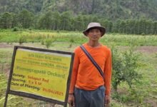 KVK Anjaw Surveys Horticulture Projects in Six Vibrant Villages of Anjaw