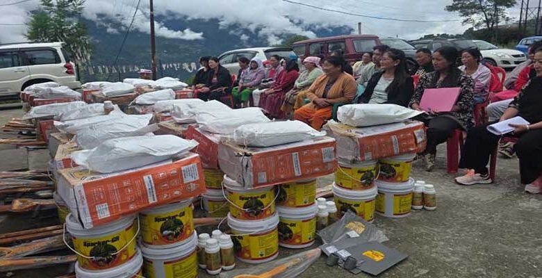 Kyidphel Farmers Get Support to Shift Towards Organic Vegetable Cultivation