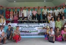 Miglung Village in East Siang Declared Chemical-Free Village﻿