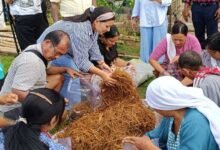 Mushroom Cultivation Training Held at Aalo to Promote Rural Livelihoods﻿