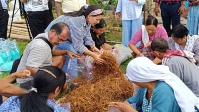 Mushroom Cultivation Training Held at Aalo to Promote Rural Livelihoods