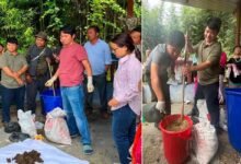 Natural Farming Awareness Programme Held at Gipulin Cluster